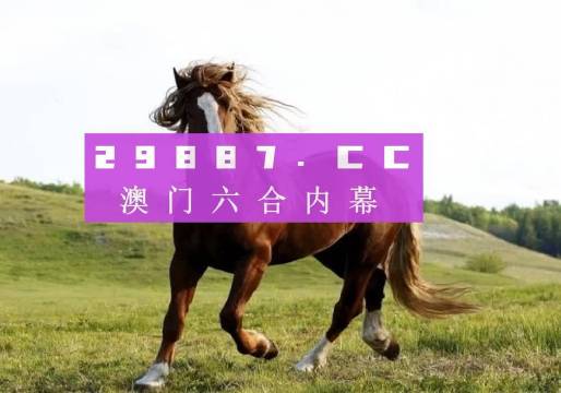 新澳门六开奖结果今天，新澳门六开奖结果今天