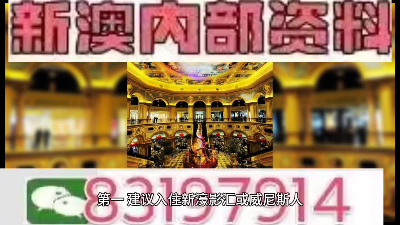 新澳门资大全查询，新澳门资大全查询，深度探索与实用指南